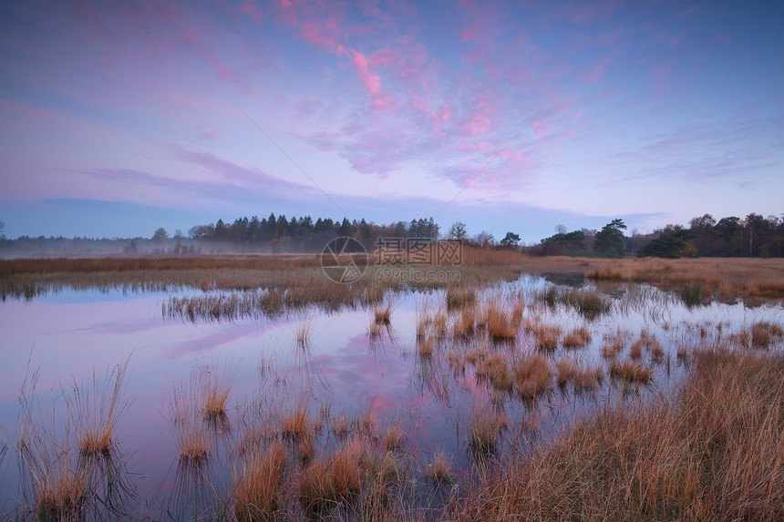 粉色秋天在森林沼泽上日出天空荒野季节性反射季节乡村蓝色紫色池塘风景图片