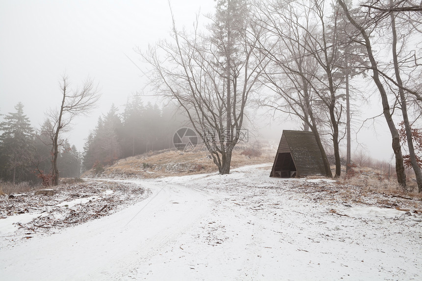 哈兹山的木小木屋 冬季大雾日图片