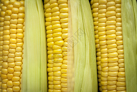 玉米角生产饮食内核食物棒子玉米粒蔬菜粮食黄色谷物高清图片