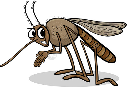 蚊子昆虫漫画插图背景图片