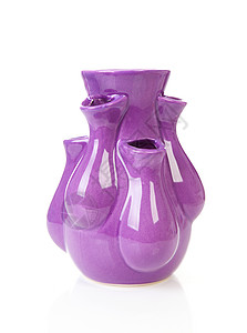 紫色典型荷兰图利普花瓶背景图片