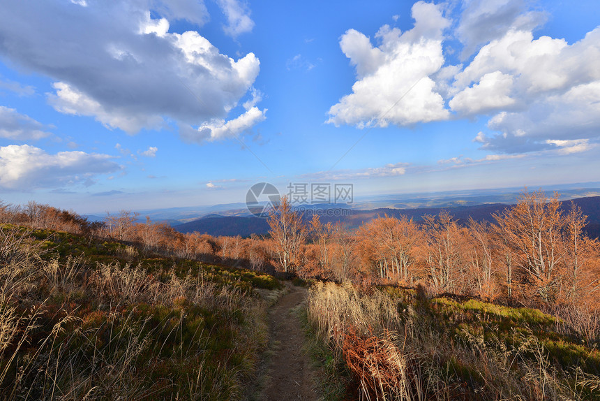 秋山公园荒野树木全景床单途径高山尖峰草地地形图片