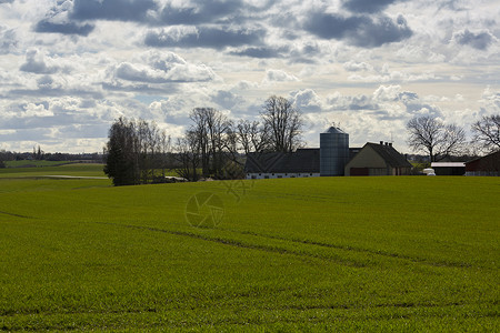 丹麦农场农场农业田园天空风景蓝色场地谷物风光色彩绿色背景