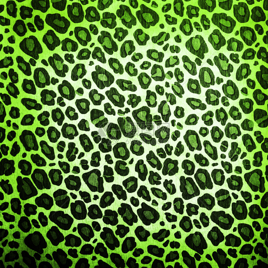 豹型式荒野野生动物情调织物材料异国老虎动物墙纸斑点图片