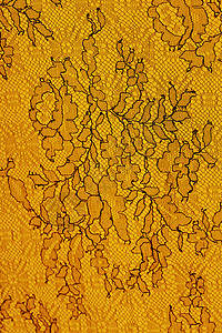 Lacy 桌布魅力黄色黑色风格纺织品台布衣服织物装饰树叶背景图片