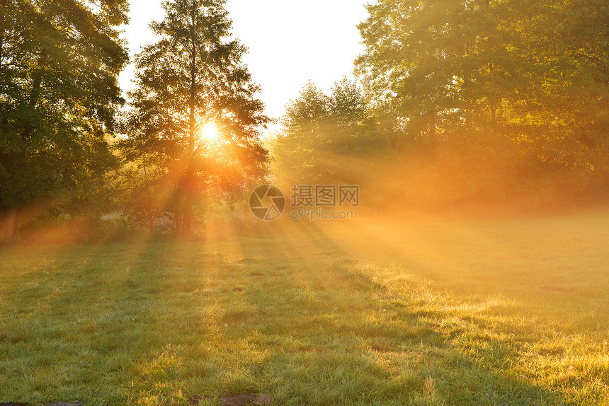 秋季上午风景场景光束小路阳光天空晴天射线叶子木头图片