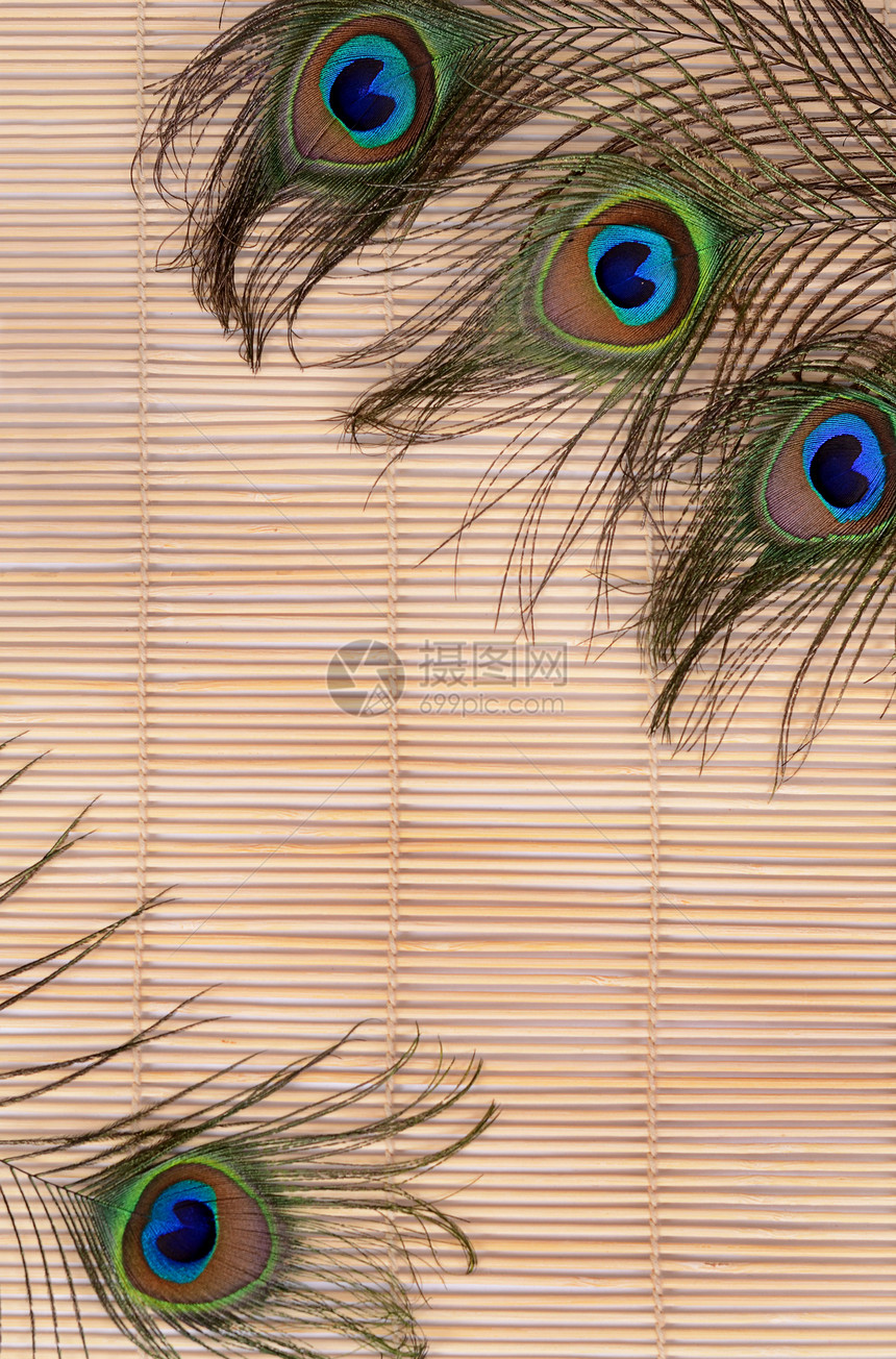 孔雀的美丽羽毛宏观尾巴竹子异国艺术眼睛风格小地毯装饰金子图片