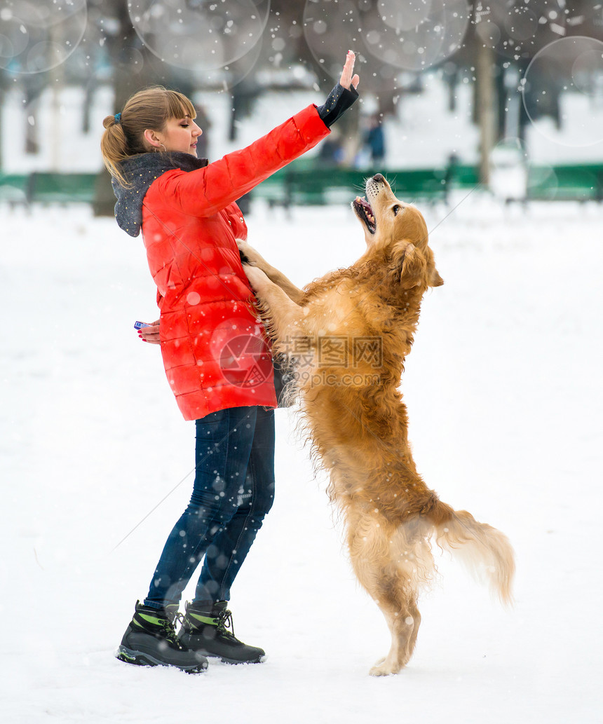 女孩与她的狗棕色犬类毛皮动物猎犬图片