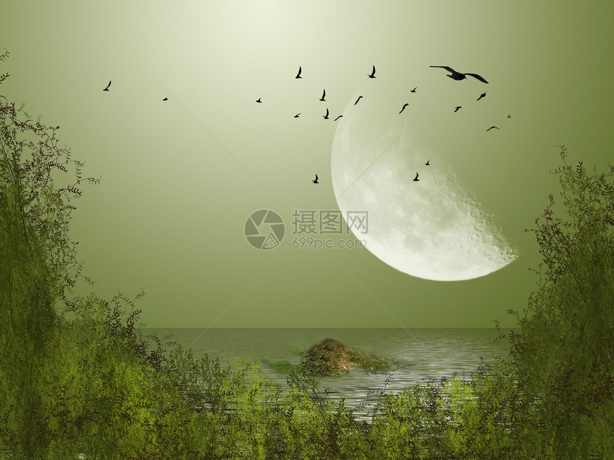 大月亮场景天空小路剪贴簿魔法岩石鸟类童话公主故事图片