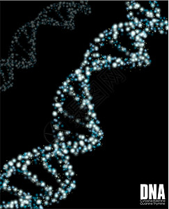 DNA摘要技术物理高分子化学生物插图克隆保健药品染色体背景图片