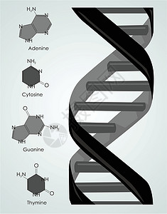 达纳螺旋遗传黑色技术图标密码背景图片