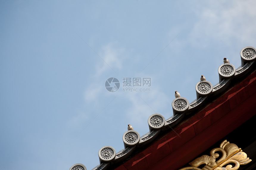 在日本寺庙屋顶上的鸟 与蓝天相对立图片