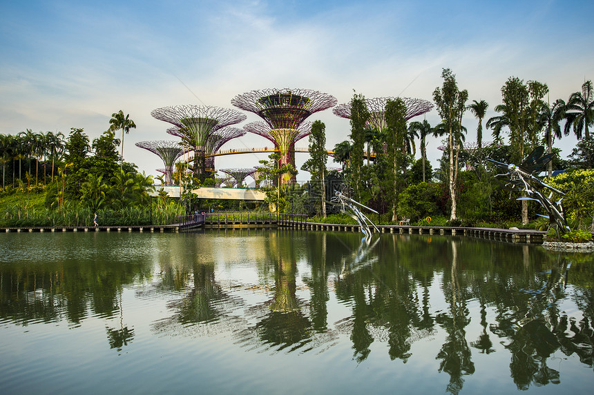 新加坡花园在黄昏的天边海湾旁市中心雕塑化身地标花朵树林天空热带植物群景观图片