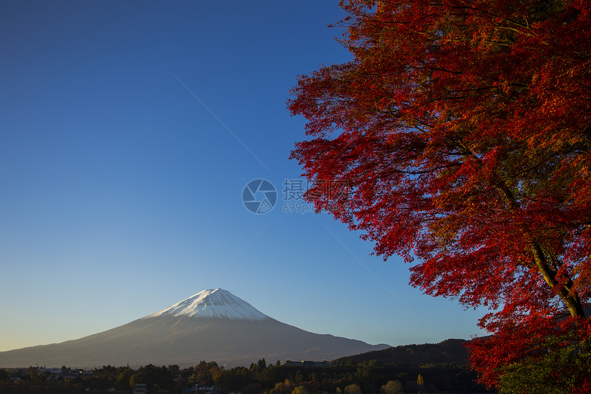 日本富士山红秋叶斋子天空风景假期顶峰红叶地标植物光洋季节图片