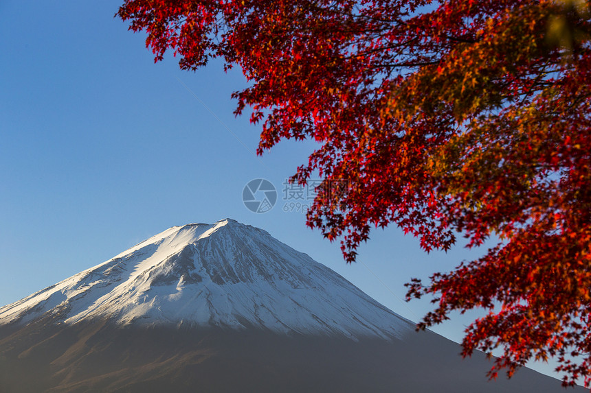 日本富士山红秋叶斋子公吨火山植物风景天空假期旅行红叶樱花图片