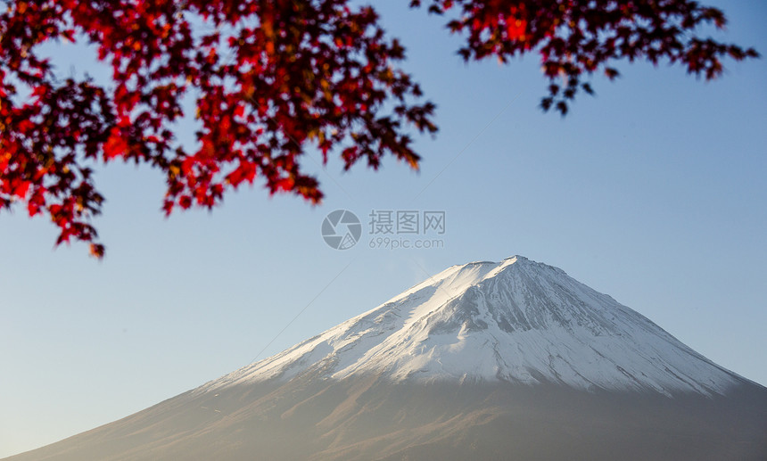 日本富士山红秋叶天空观光季节顶峰红叶旅行地标假期樱花植物图片