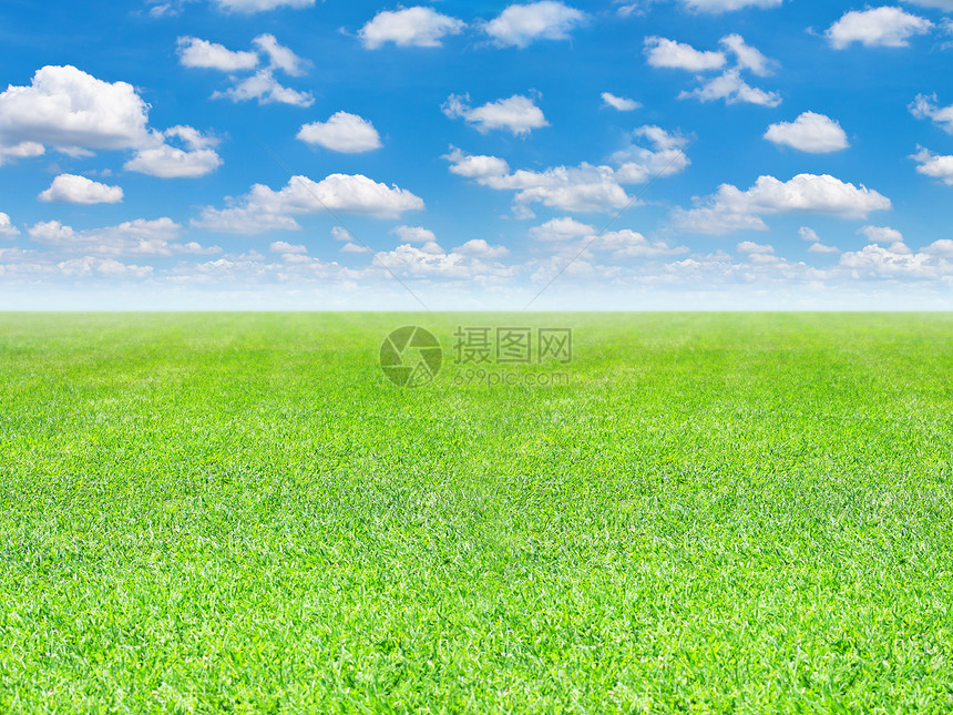 绿地和蓝天空背景土地风景农村场地场景太阳农场季节地平线草地图片