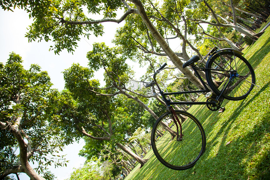 公园里的旧自行车季节草地乡村孤独植物土地车辆旅行运动车轮图片