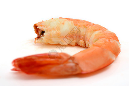白底虾虾动物橙子海鲜宏观甲壳大虾影棚食物背景图片
