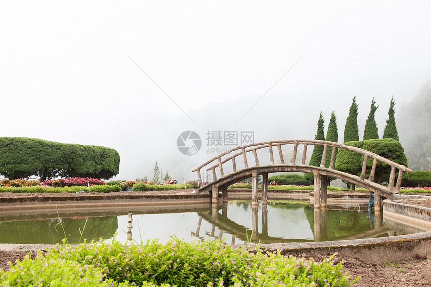 在池塘上架桥叶子旅游荒野环境公园反射天桥踪迹行人旅行图片