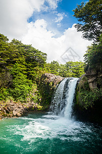 汤河新西兰的热带丛林美丽旅行荒野风景瀑布溪流树木公园背景