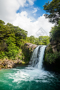 河汤新西兰的热带丛林美丽旅行荒野风景瀑布溪流树木公园背景