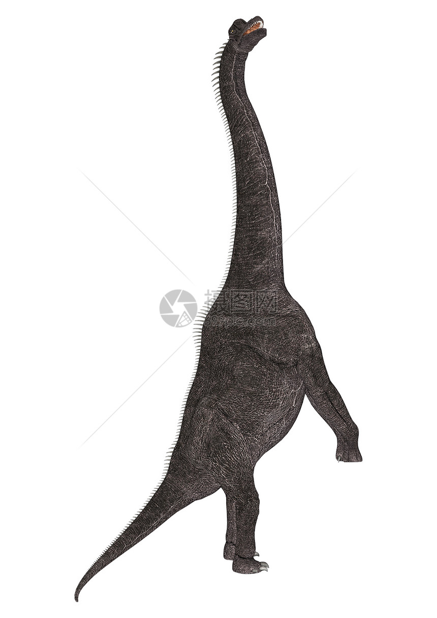 恐龙蓝清九龙手臂蜥蜴插图古生物学怪物生物捕食者动物侏罗纪恐龙图片
