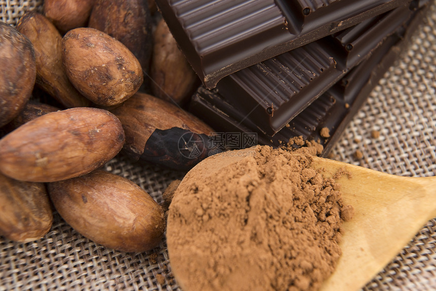 可可可可豆和巧克力食物美味烹饪粮食厨房宏观扁豆植物可可种子图片