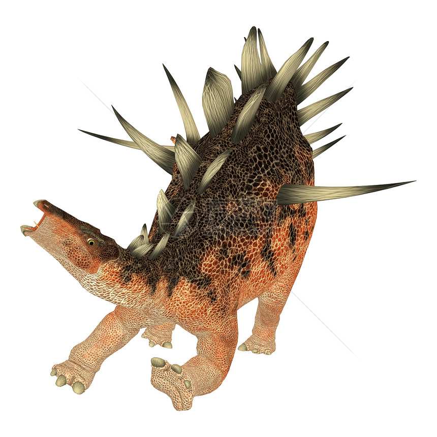 恐龙天文词库古生物学侏罗纪插图动物白色爬虫怪物尖刺蜥蜴博物馆图片