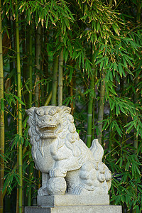 中国石狮狮子艺术文化白色花园植物竹子背景图片