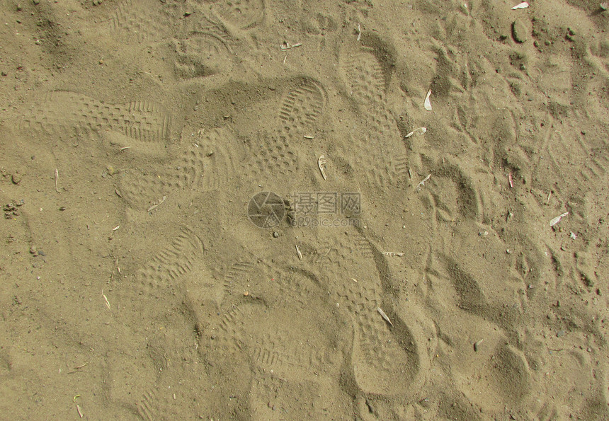 沙中脚印土地痕迹灰色图片