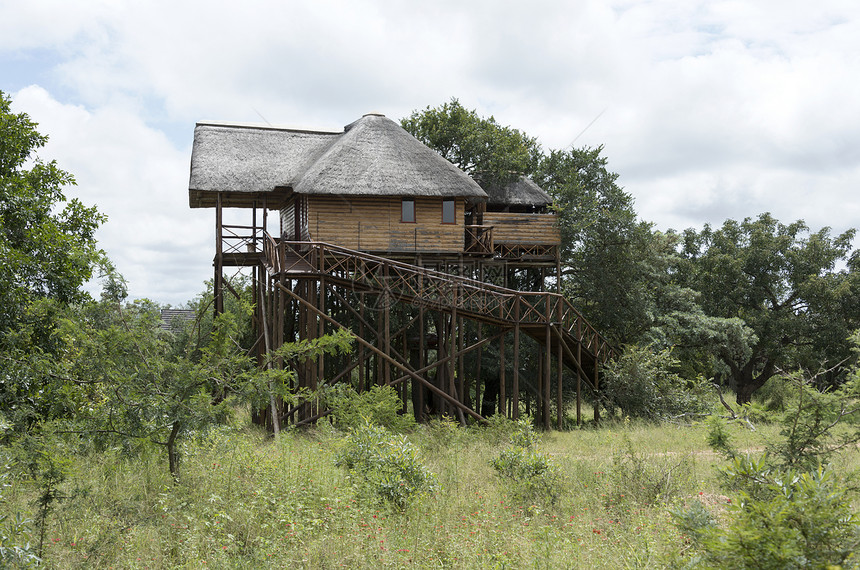 非洲高原上的巨木木屋图片
