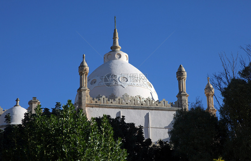 突尼斯 迦太基 拜尔萨山     圣路易斯大教堂天炉宗教蓝色地标大教堂历史圆顶纪念碑天空植物图片