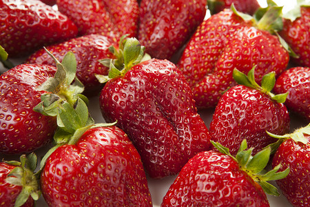 几小片草莓红色肉质收集益处栽培果实白色收成植物健康背景图片