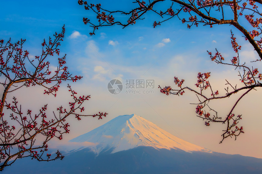 藤藤山火山植物公吨阳光天空观光冰镇日落樱花节日图片