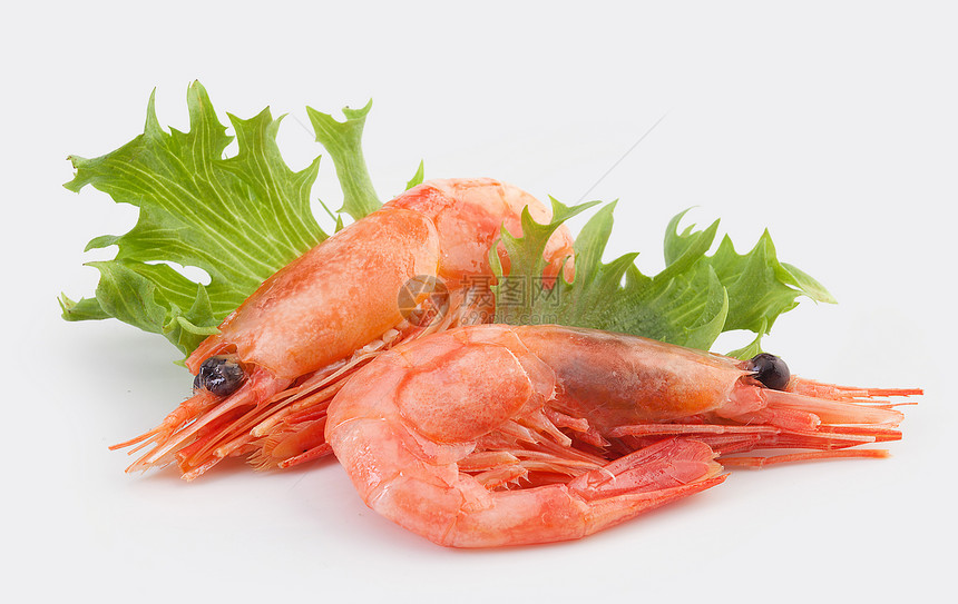 虾生产红色绿色海鲜对虾甲壳食物动物图片