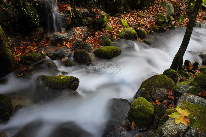 河流瀑布植物旅行荒野苔藓环境跑步溪流岩石流动图片