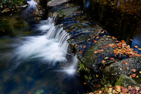 水瀑植被起源植物树木下雨溪流跑步环境石头荒野背景图片