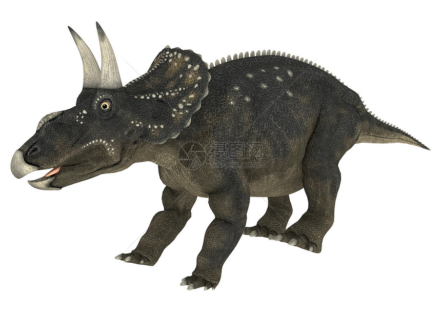 恐龙糖尿病侏罗纪野生动物怪物时代生物牛角古生物学动物捕食者插图图片