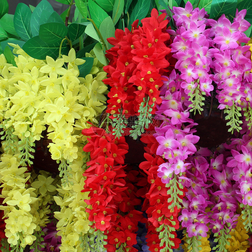 人造花朵农业花瓣花园风光生长公园宏观草地阳光天空图片