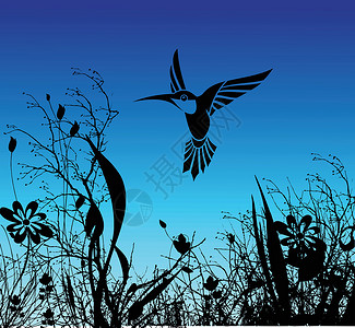蜂鸣鸟和鲜花翅膀羽毛插图艺术叶子蜂鸟夹子气候蜂蜜野生动物插画