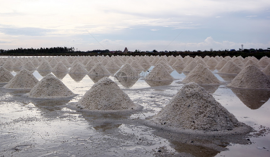 盐盐养殖场土壤日落食物白色环境烘干农业香料场地日出图片