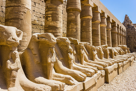 金狮身人面像埃及卡纳克寺庙古老废墟雕刻考古学纪念碑古董旅游历史发掘上帝建筑文化背景