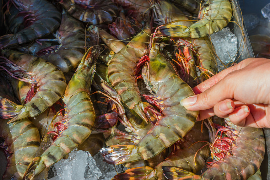 泰国市场上的虾虾和其他海产食品市场杂货店旅行美食甲壳团体动物餐厅食物尾巴触手图片