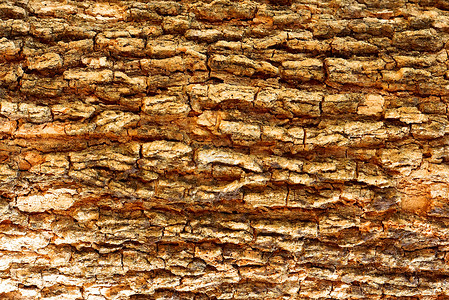 木木纹理木头棕色衰变背景图片