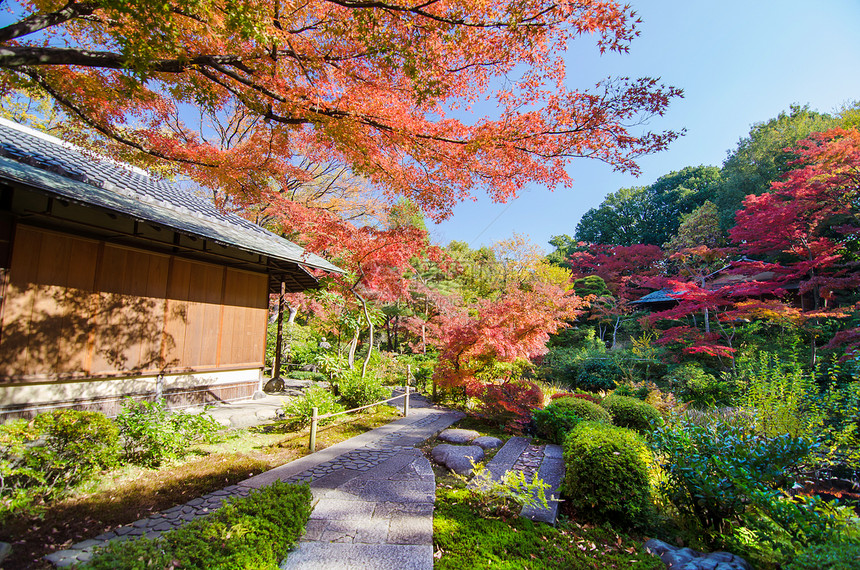 传统日日美花园松树天空植物草地美丽环境森林石头途径花园图片