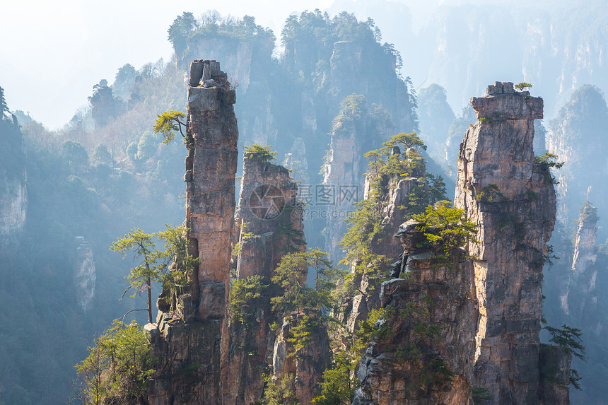 张贾吉国家森林公园遗产世界化身公园森林石头悬崖岩石国家风景图片