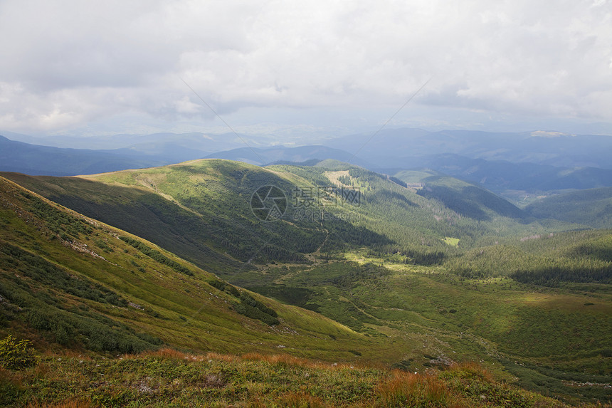 喀尔巴山山脉纱布城市爬坡枞树场景针叶风景树木荒野地形图片