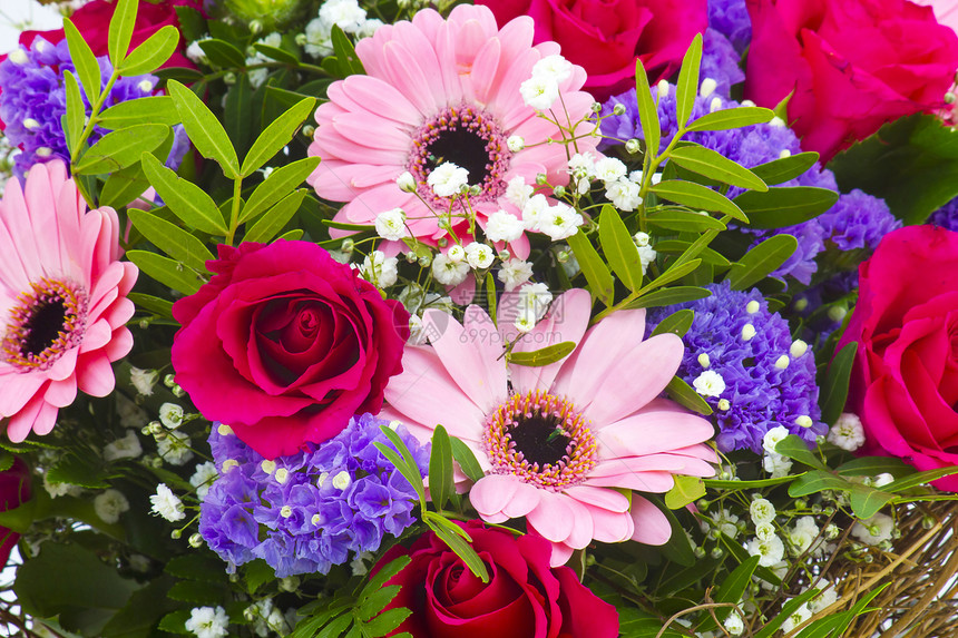 一束五颜六色的鲜花雏菊礼物婚礼紫色妈妈母亲花瓣订婚植物群生日图片