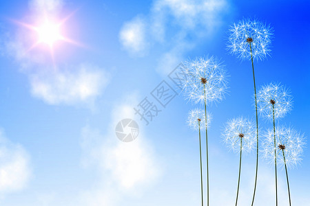 数字生成的蓝天花朵种子阳光绘图晴天生长计算机背景图片